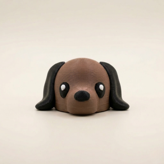 Dachshund Pup